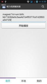 国产高清小视频磁力,磁力链接下的视觉盛宴