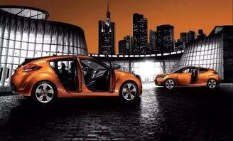 国产车门视频大全,视频大全中的创新与品质